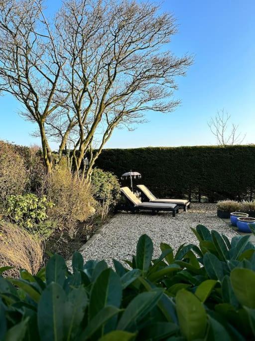 Beachhouse Zonneweelde Noordwijk Zewnętrze zdjęcie